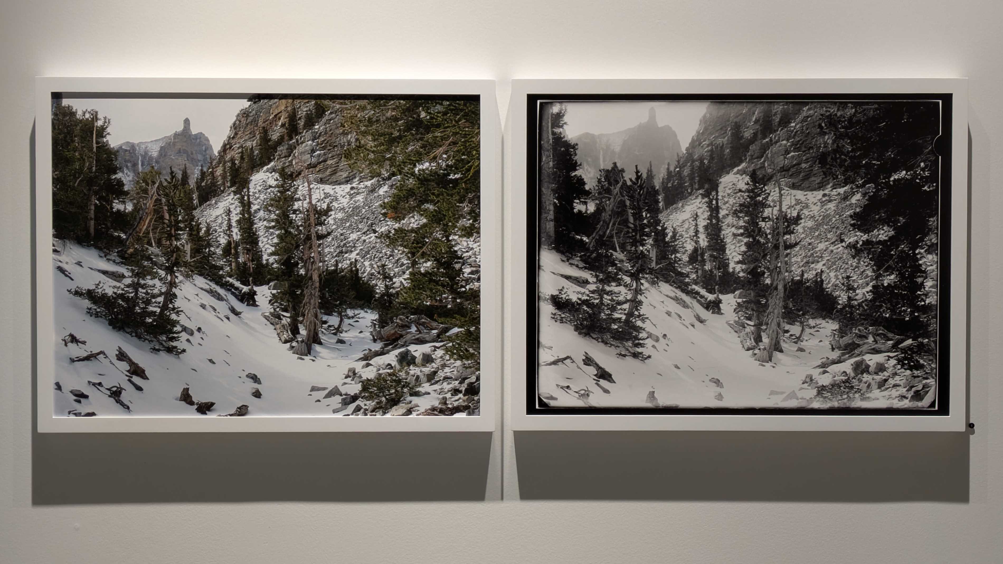 Two images of the same promontory, the base of clif with broken trees and great rock turned to pebbles. The image on the left is in full color, the green of the trees and the gray of the rock. The image on the right is in black and white.